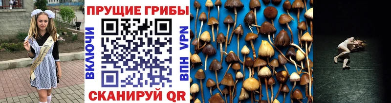 blacksprut ссылка  площадка как зайти  Галлюциногенные грибы MAGIC MUSHROOMS  наркота  Ветлуга 